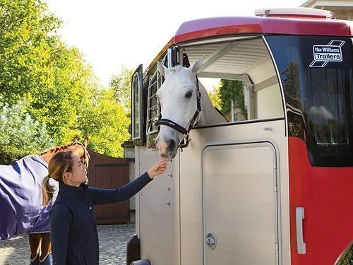 Ifor Williams – HBX 506 – 2 lugares – Novo